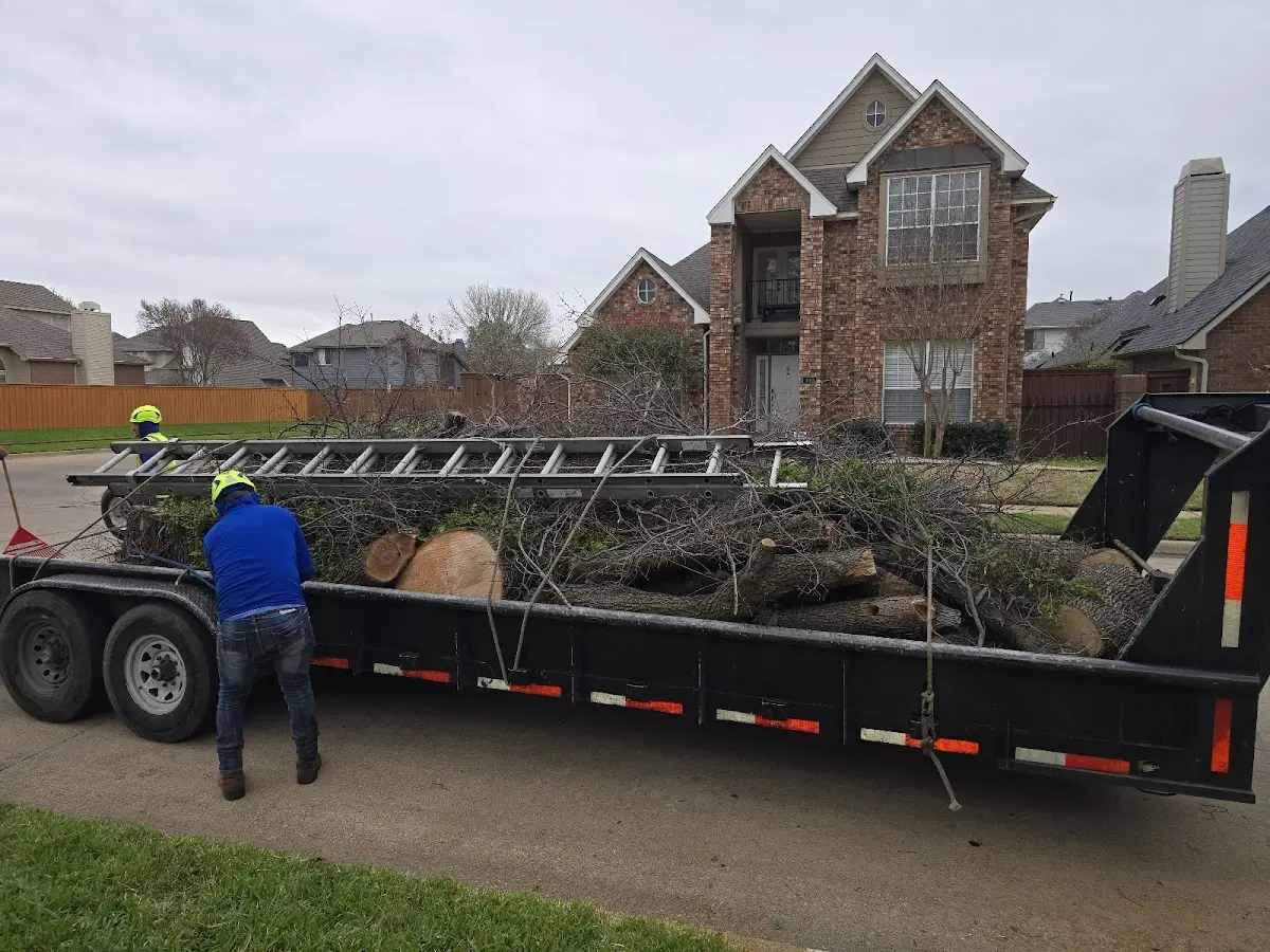 Expert Tree Fertilization with proper safety equipment in Frankfort